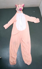 Pig Kids Costume